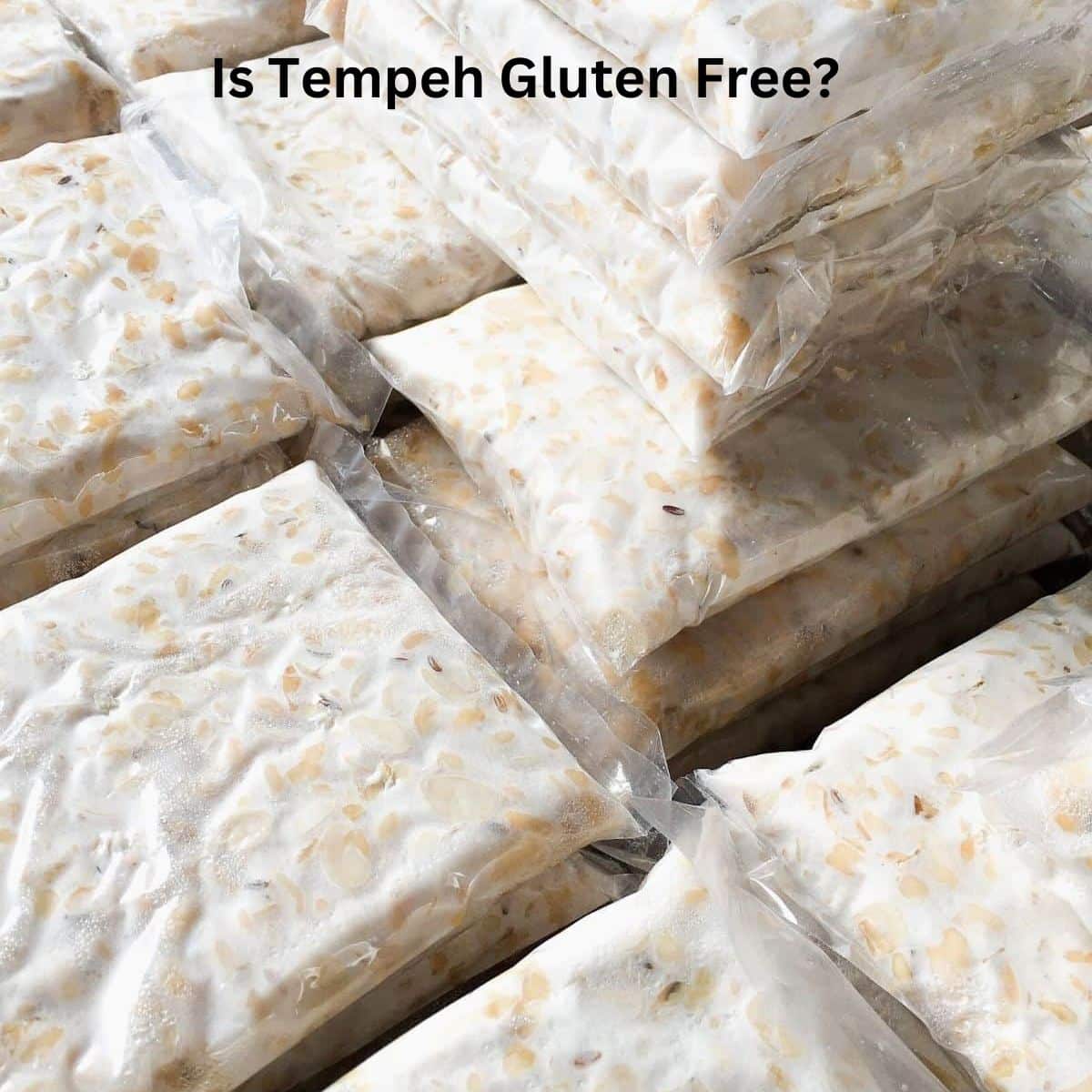 Packages of tempeh on a tray.