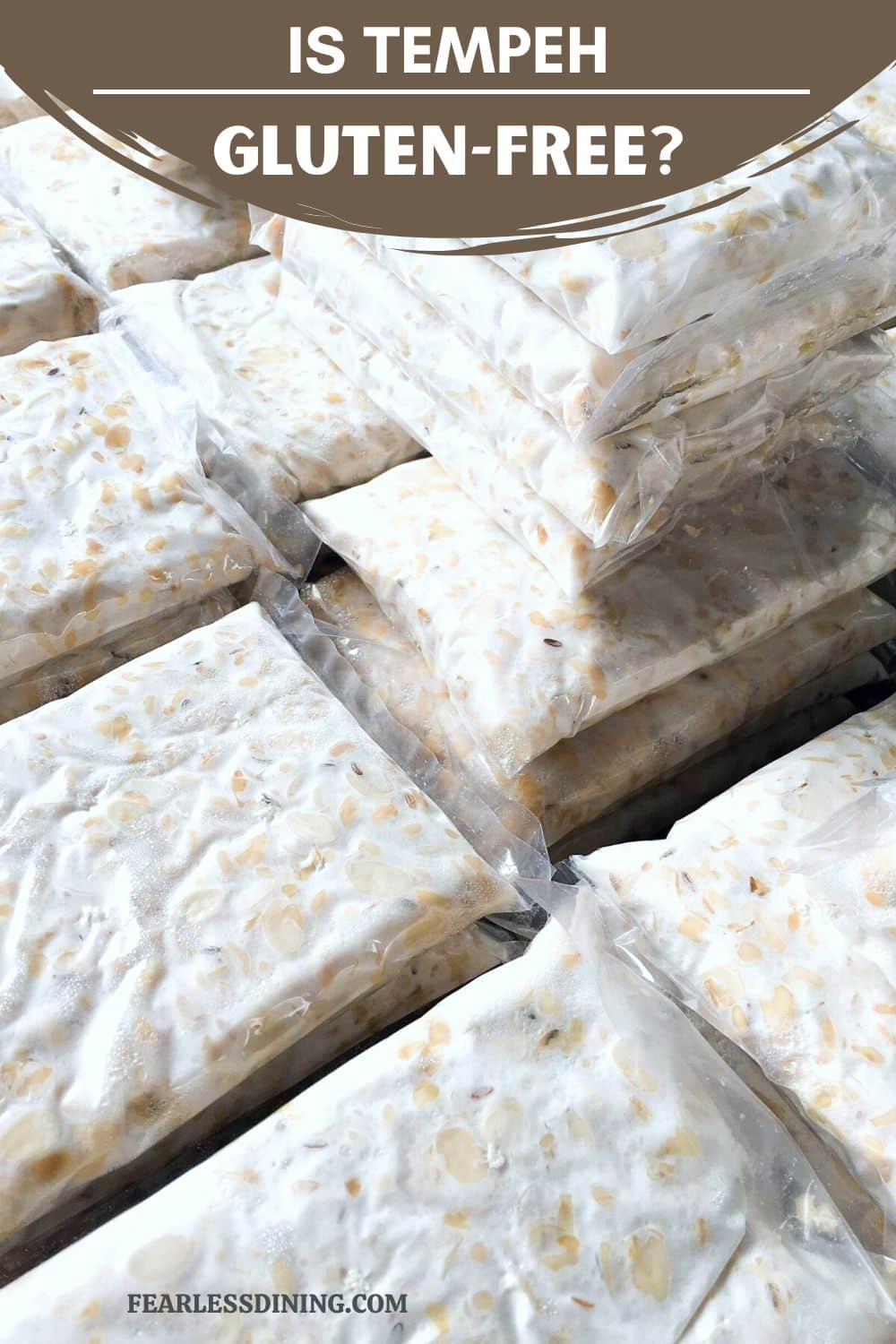 Is Tempeh Gluten Free? (Get The Gluten Free Tempeh Brand List