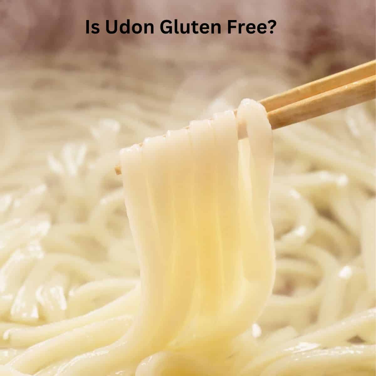 Udon noodles being picked up with chopsticks.