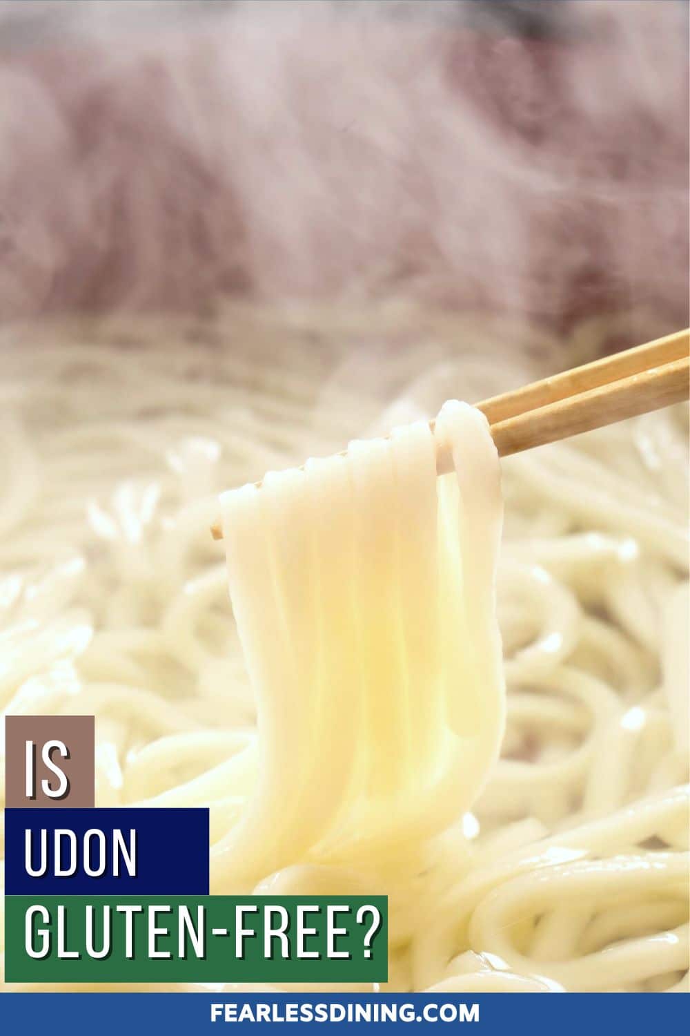 Does Udon Have Gluten Gluten Free Udon Noodle List! Fearless Dining