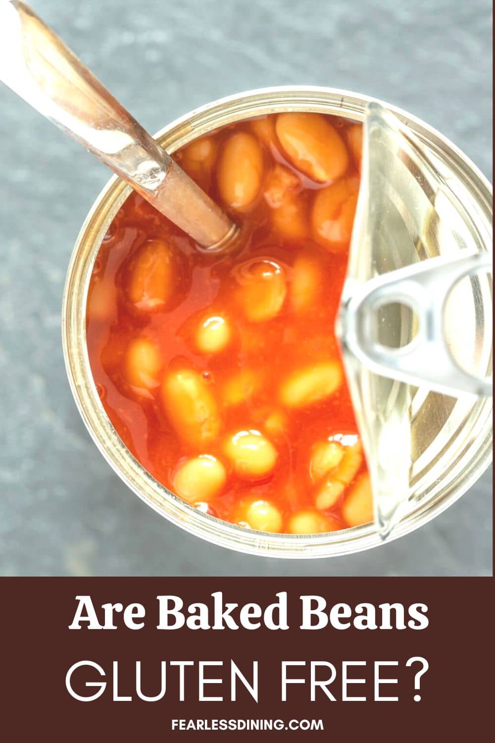 Are Baked Beans Gluten Free? Plus, A GF Brand List! Fearless Dining