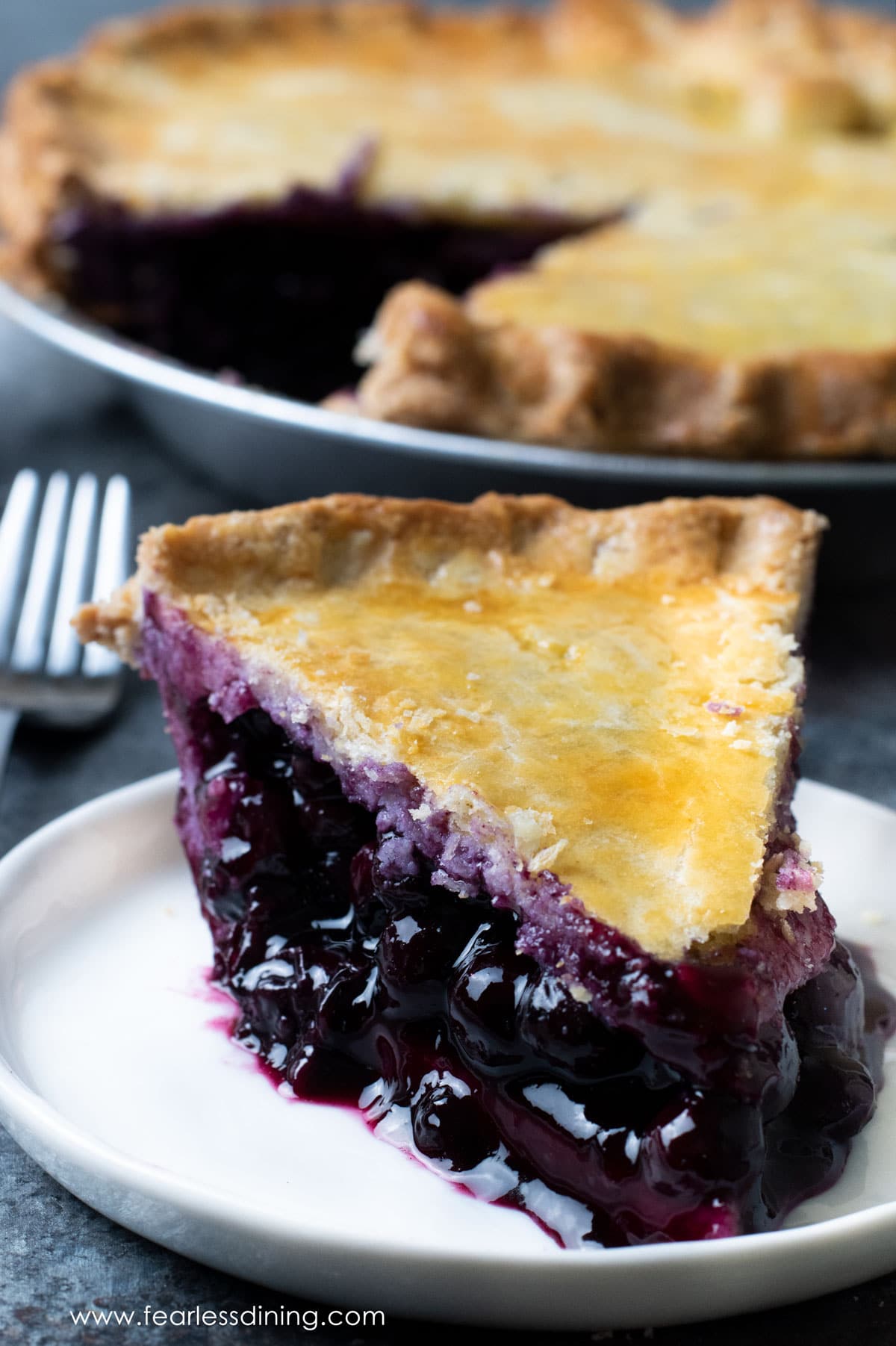 A big slice of gluten free blueberry pie on a small white plate.