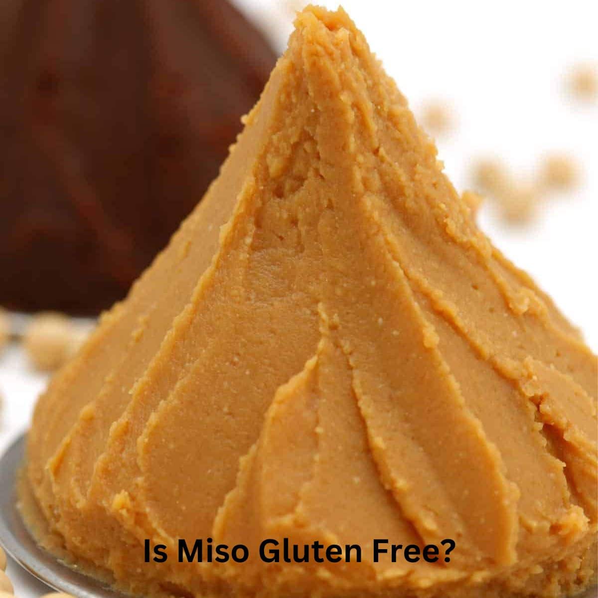 A close up of some miso paste.