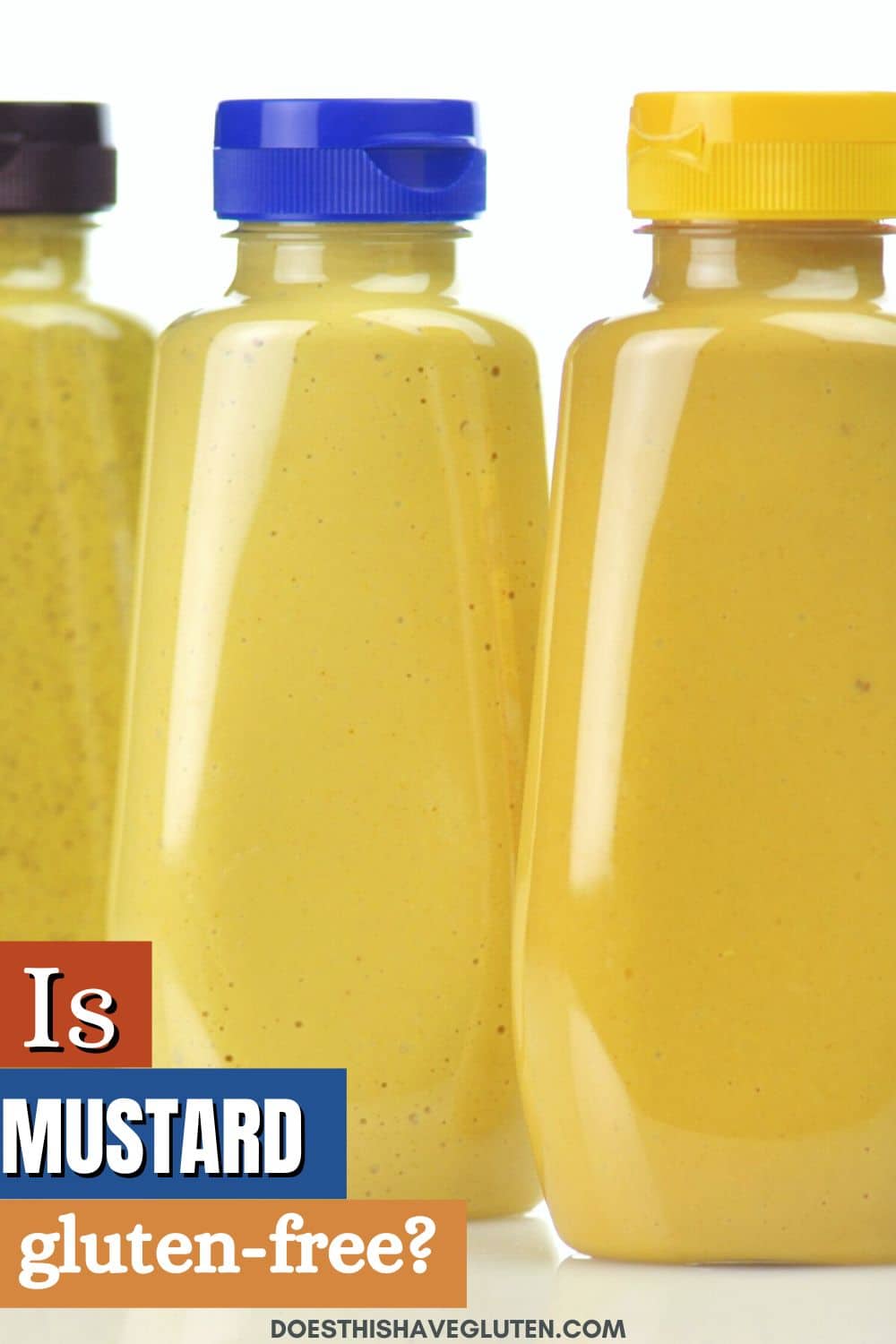 Is Mustard Gluten Free? (Gluten Free Mustard Brand List!) Fearless Dining