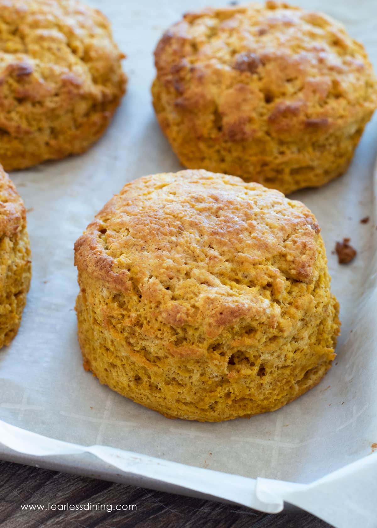 Gluten free pumpkin biscuits on a baking tray.