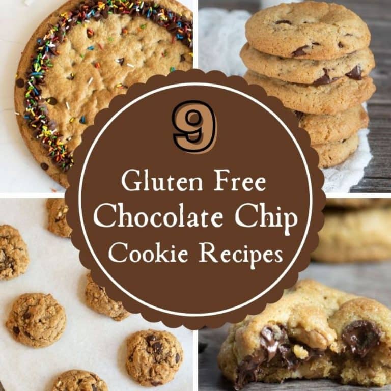 9 Must Make Gluten Free Cookies with Chocolate Chips!