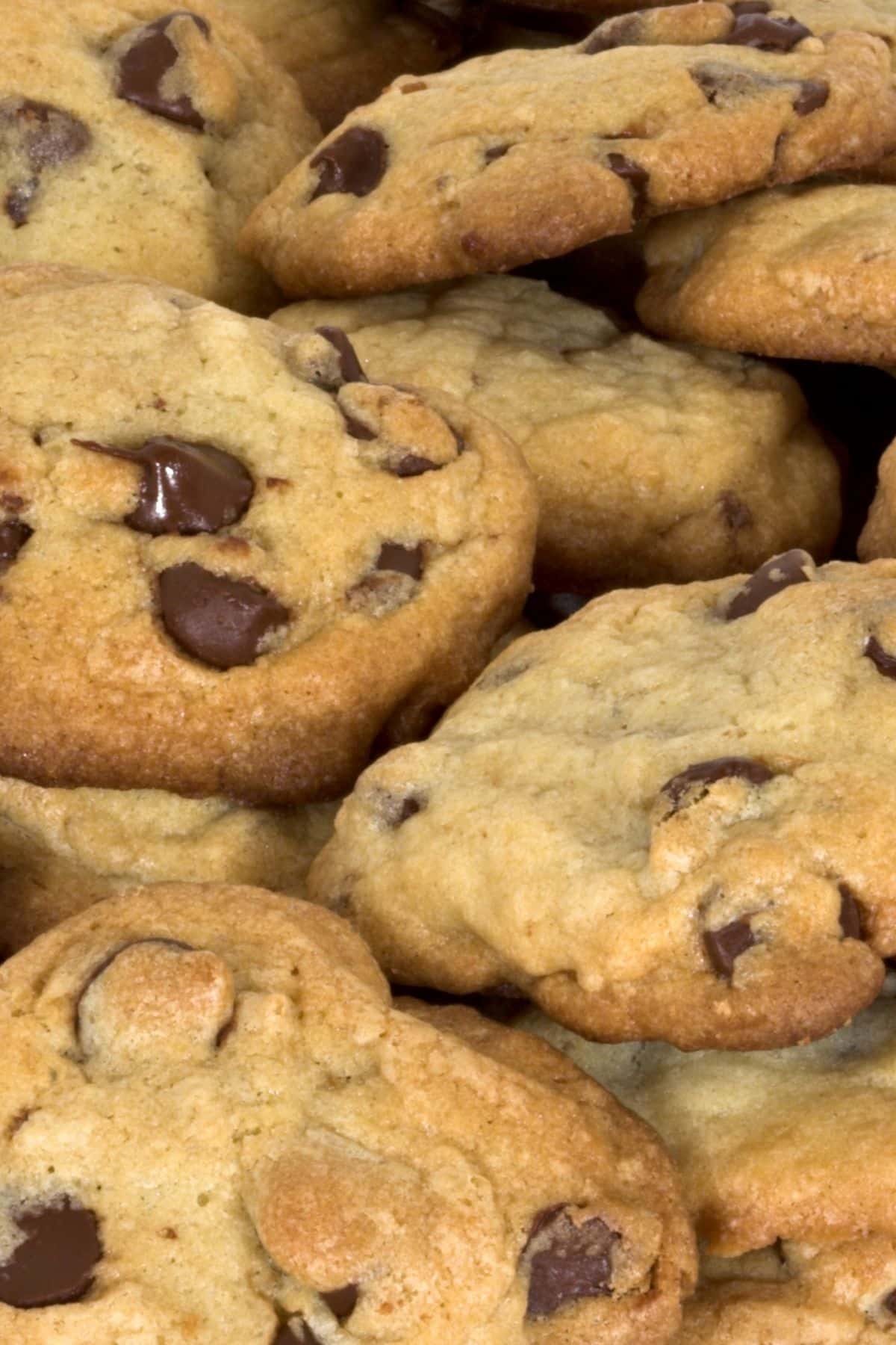 A bunch of chocolate chip cookies on a plate.