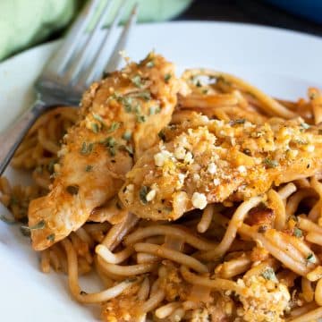 a close up of a plate of chicken spaghetti.