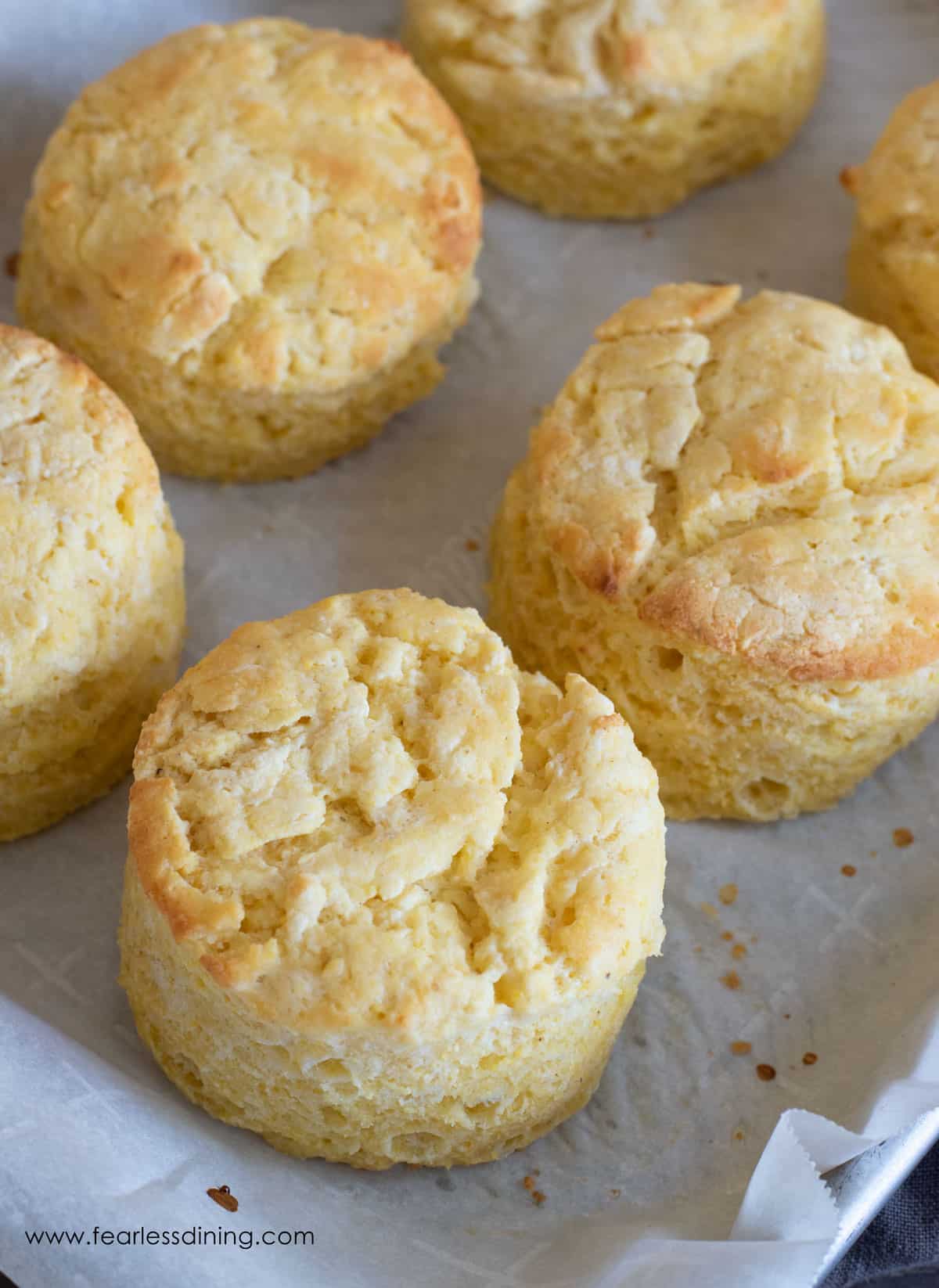 Baked cornmeal biscuits on a baking sheet.