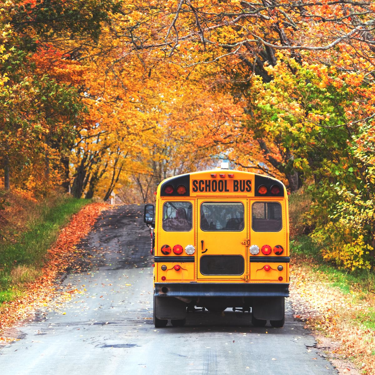 The back of a school bus driving away down the street.