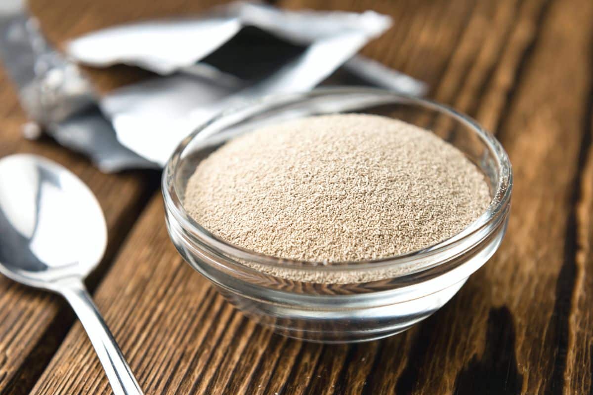 A small glass bowl filled with active dry yeast.