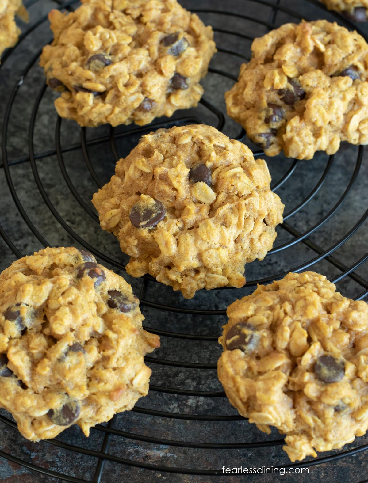 Gluten free oatmeal pumpkin cookies on a rack.