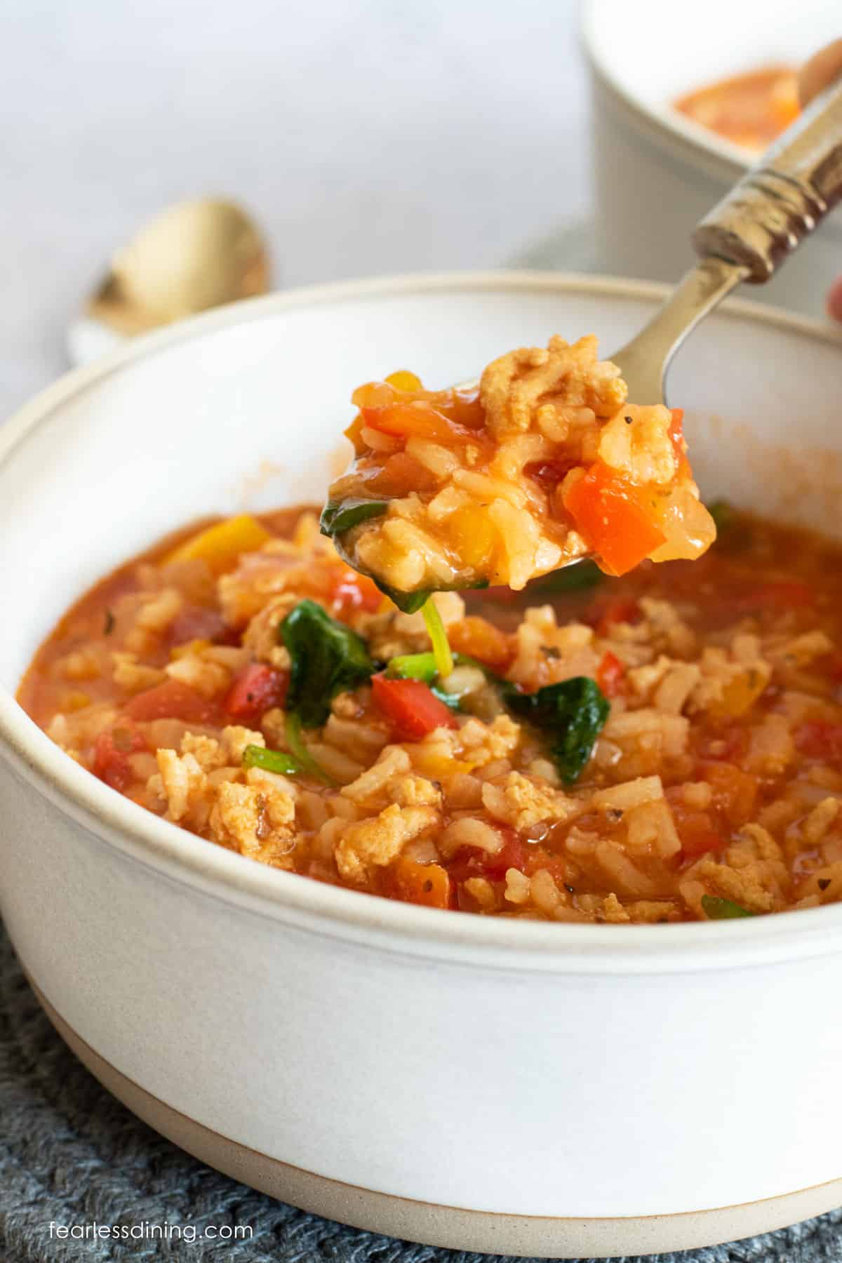 A spoon holding up a bite of the soup.