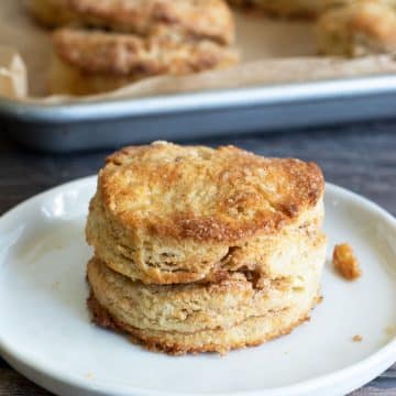 A gluten free cinnamon sugar biscuit on a small white plate.