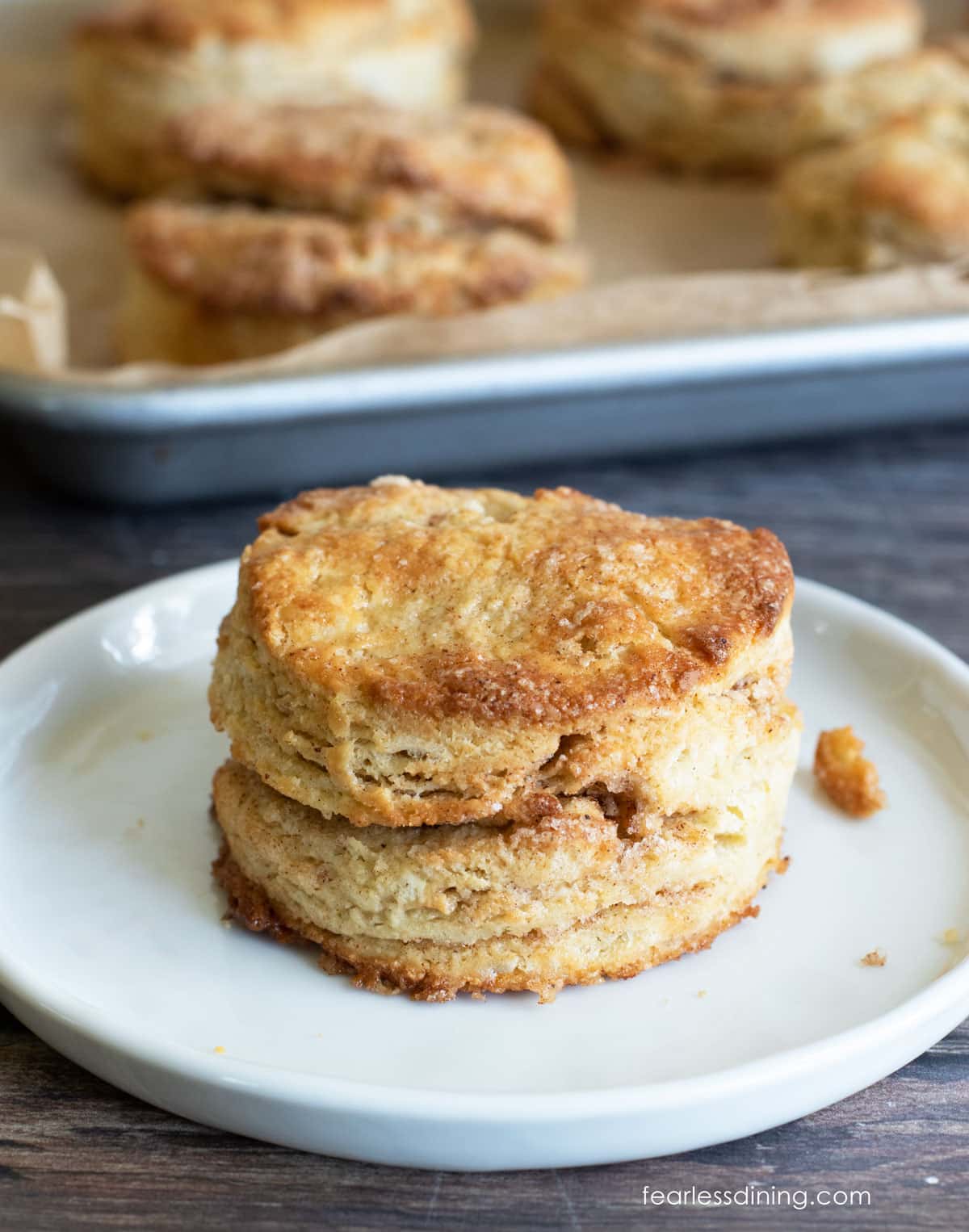 A gluten free cinnamon sugar biscuit on a small white plate.