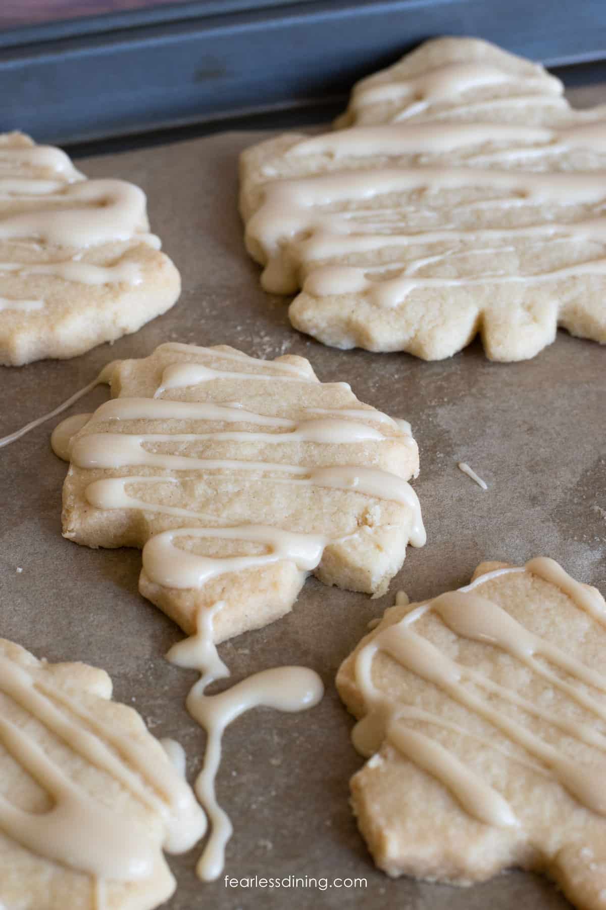 Iced maple shortbread cookies on a baking sheet.