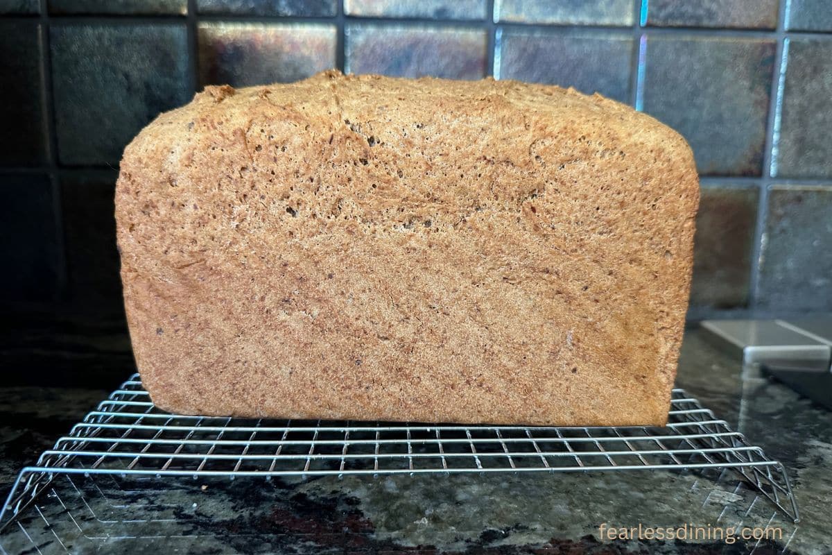 A loaf of baked gluten-free bread on a cooling rack.