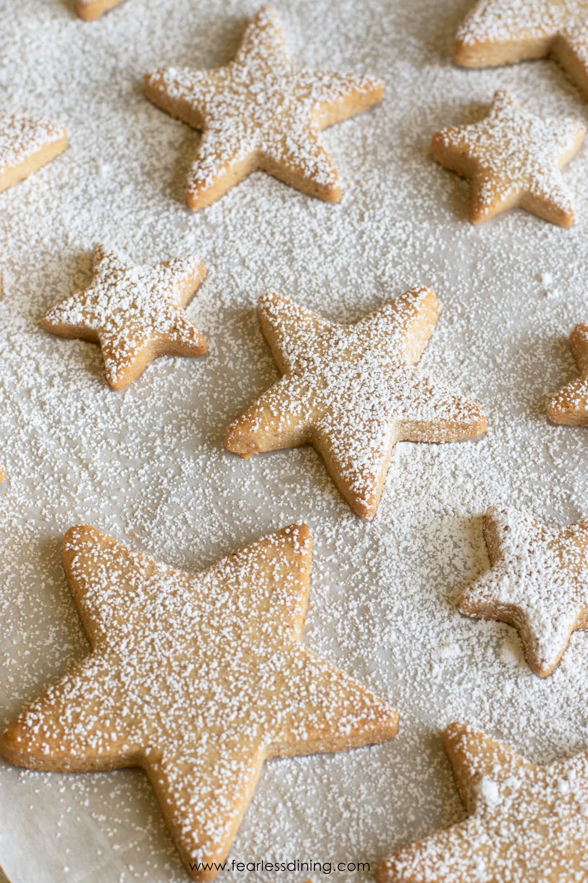 Cinnamon sugar cookie stars dusted with powdered sugar.