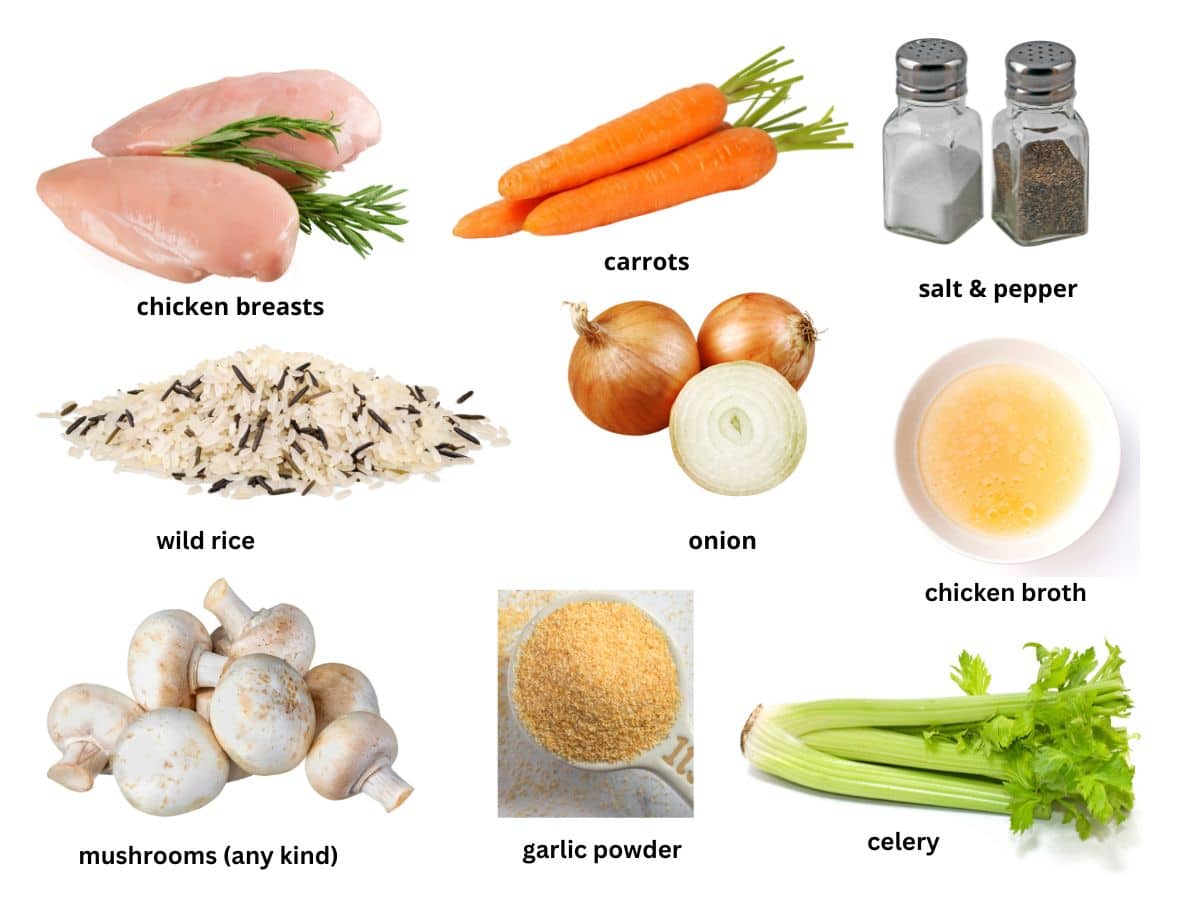a photo of the chicken rice soup ingredients.
