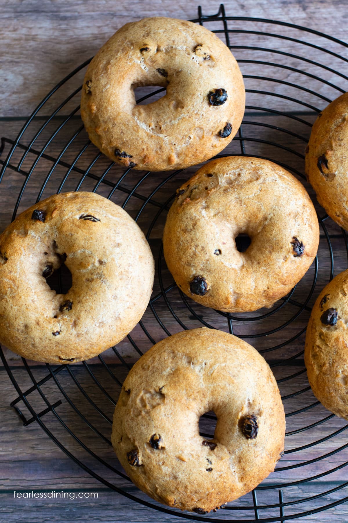 Baked gluten free cinnamon raisin bagels on a black wire rack.