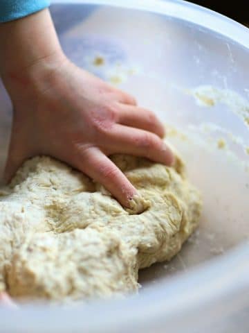 A photo of a little kid's hands kneading dough.