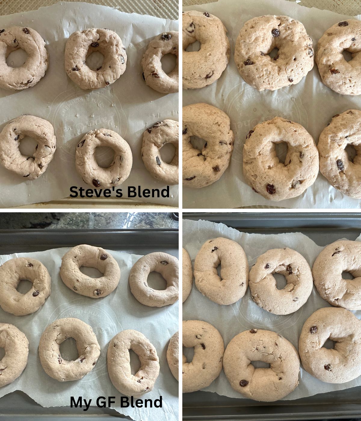 Photos of both gluten free flour blend bagels before and after rising.