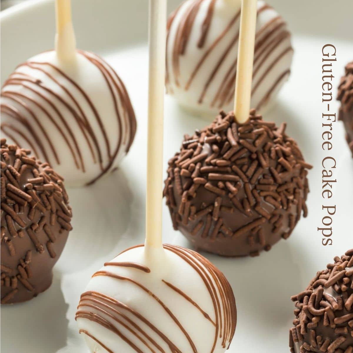 Vanilla and chocolate decorated cake pops on a white plate.