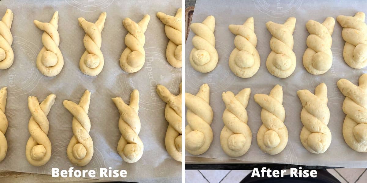 The bunny shaped rolls before and after rising the dough.
