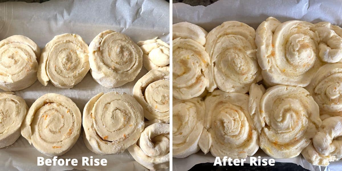 Photos of the orange rolls before and after rising.