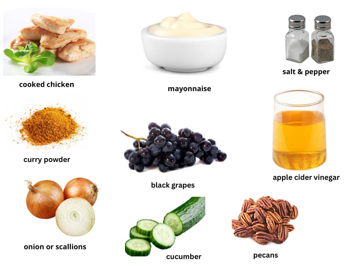A photo of all ingredients in the chicken salad recipe.