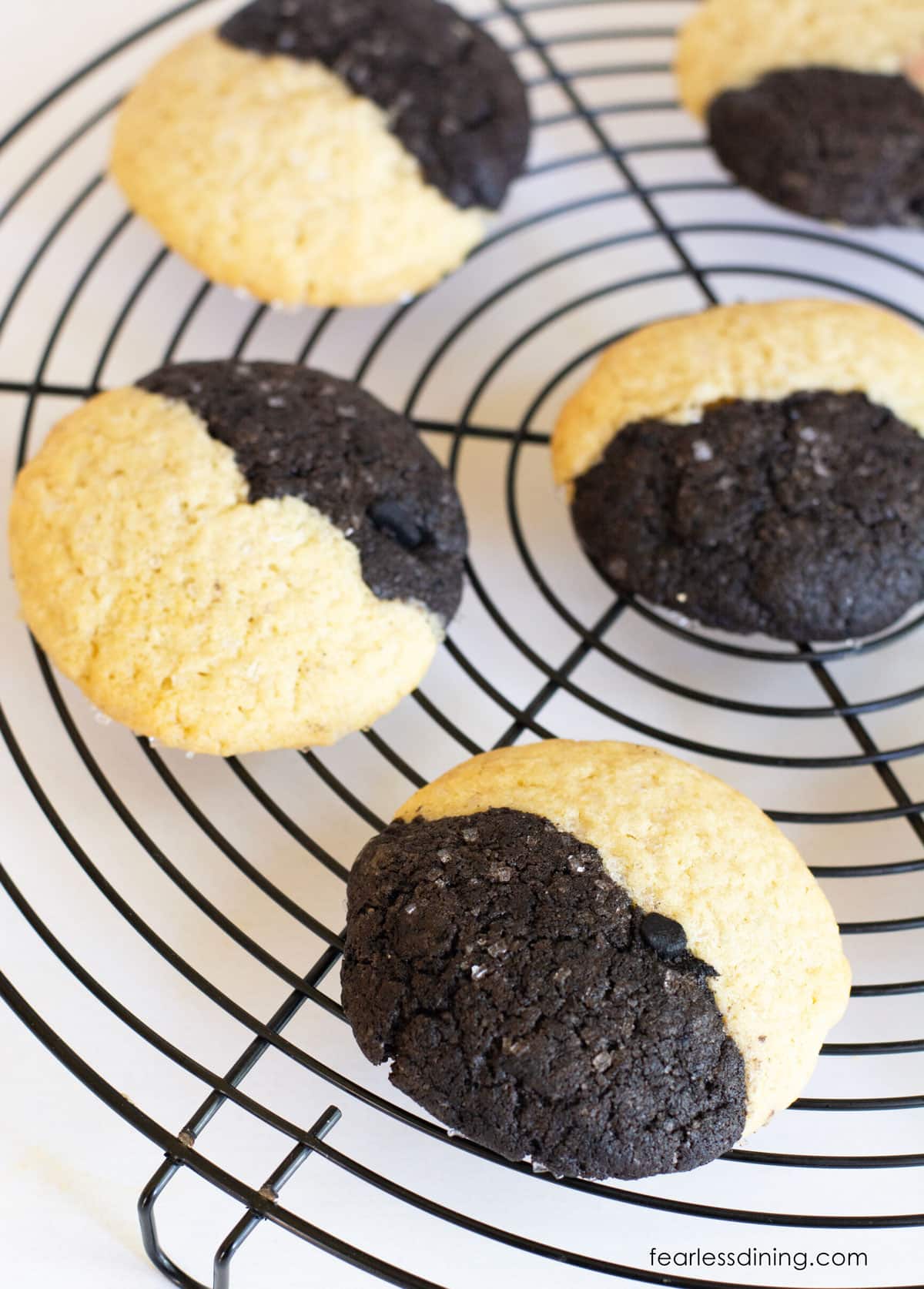 Gluten free vanilla chocolate cookies on a cooling rack.