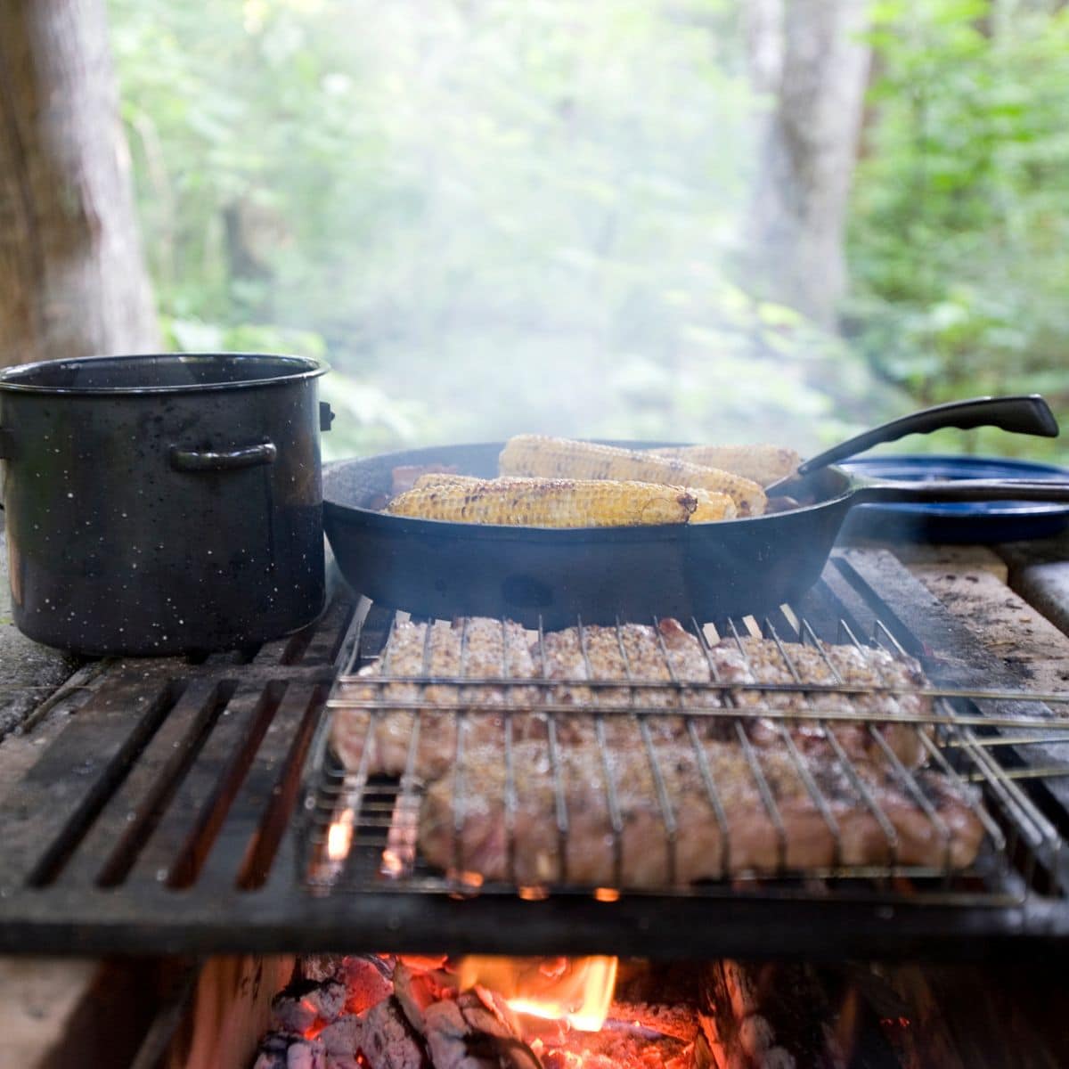 Foods cooking on a campfire grill.
