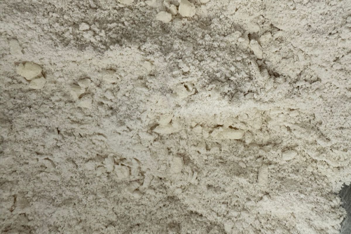 A photo showing what butter cut into flour looks like.