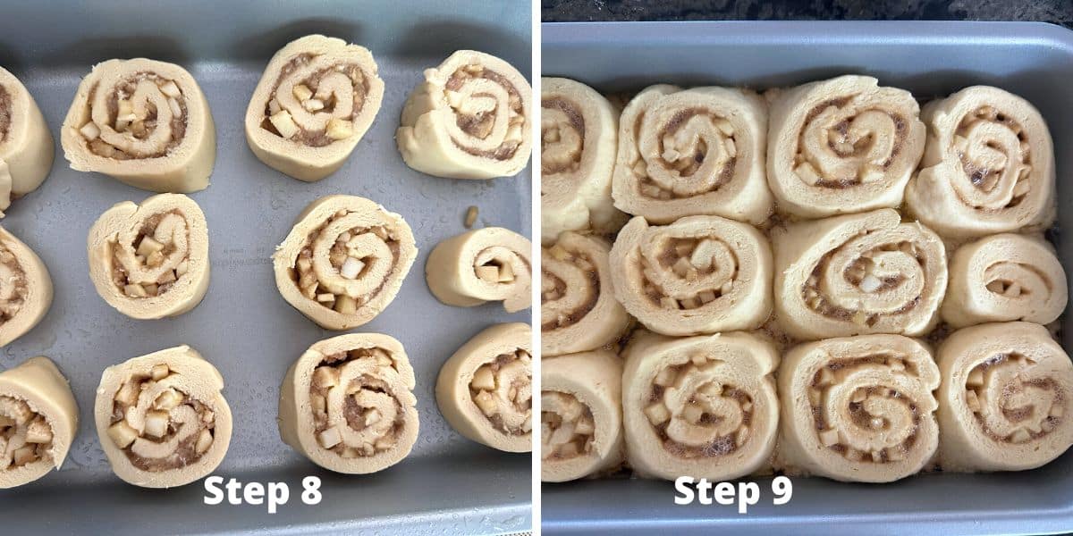 The apple cinnamon rolls before and after the rise.