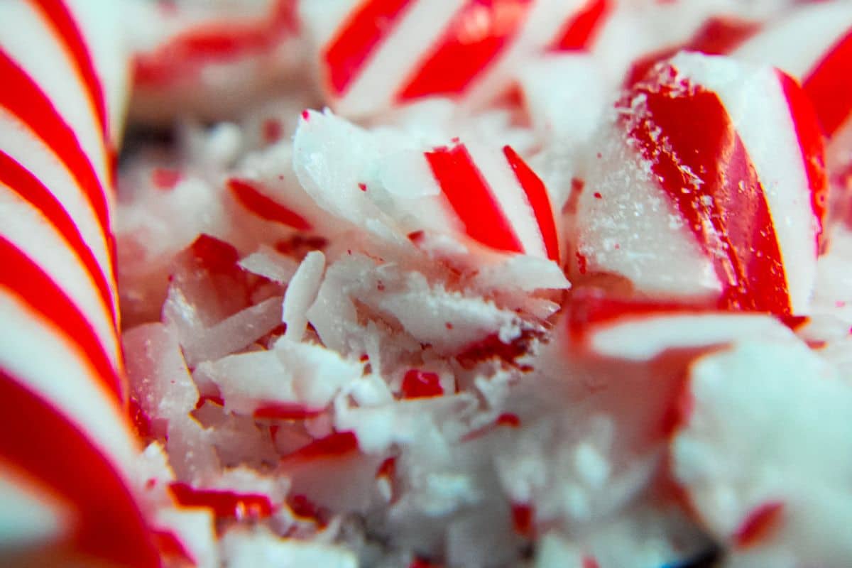 Crushed candy cane pieces.