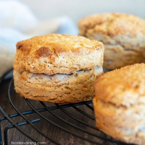 My 10 Best Gluten Free Biscuit Recipes! - Fearless Dining