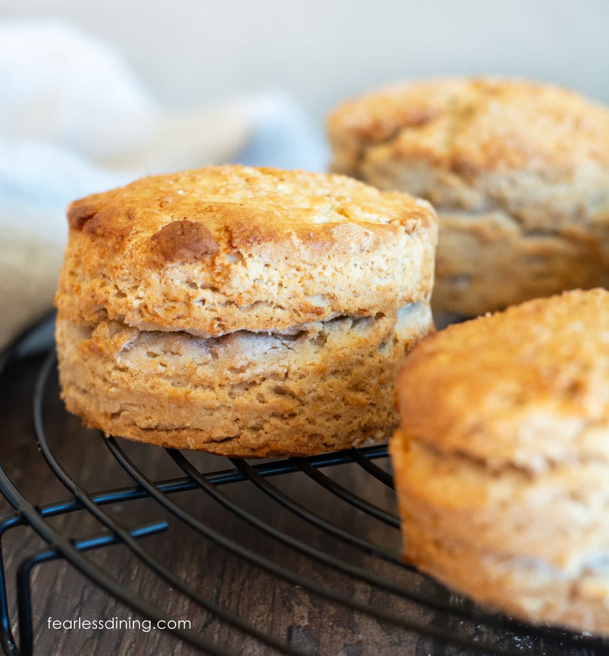 Maple oat biscuits on a cooling rack.