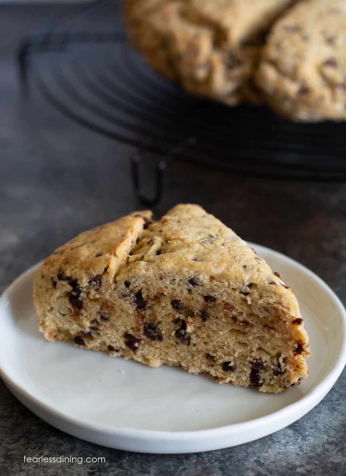 A gluten free eggnog scone with chocolate chips on a small plate.