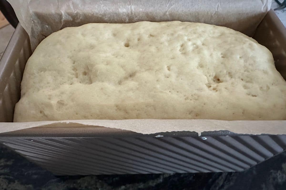 The dough in the pan after rising.