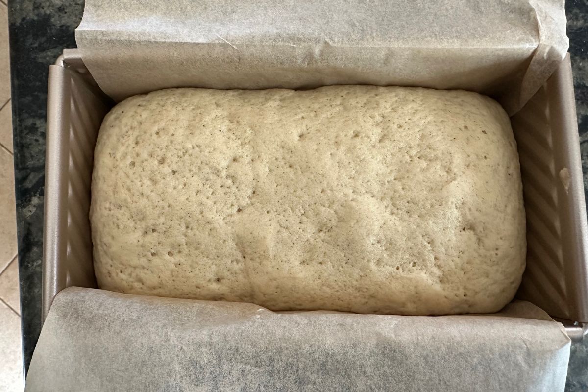 A photo of the bread dough after rising.