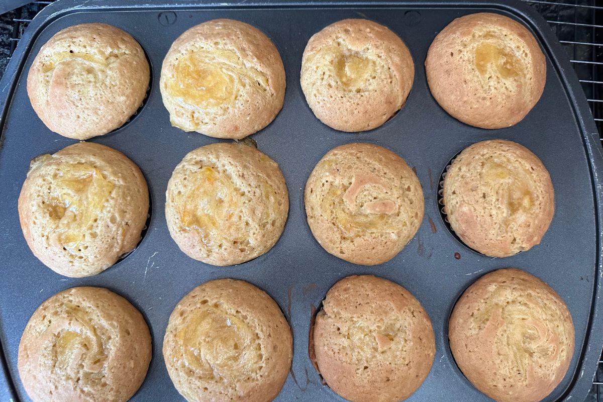 Baked muffins in a muffin tin, fresh out of the oven.