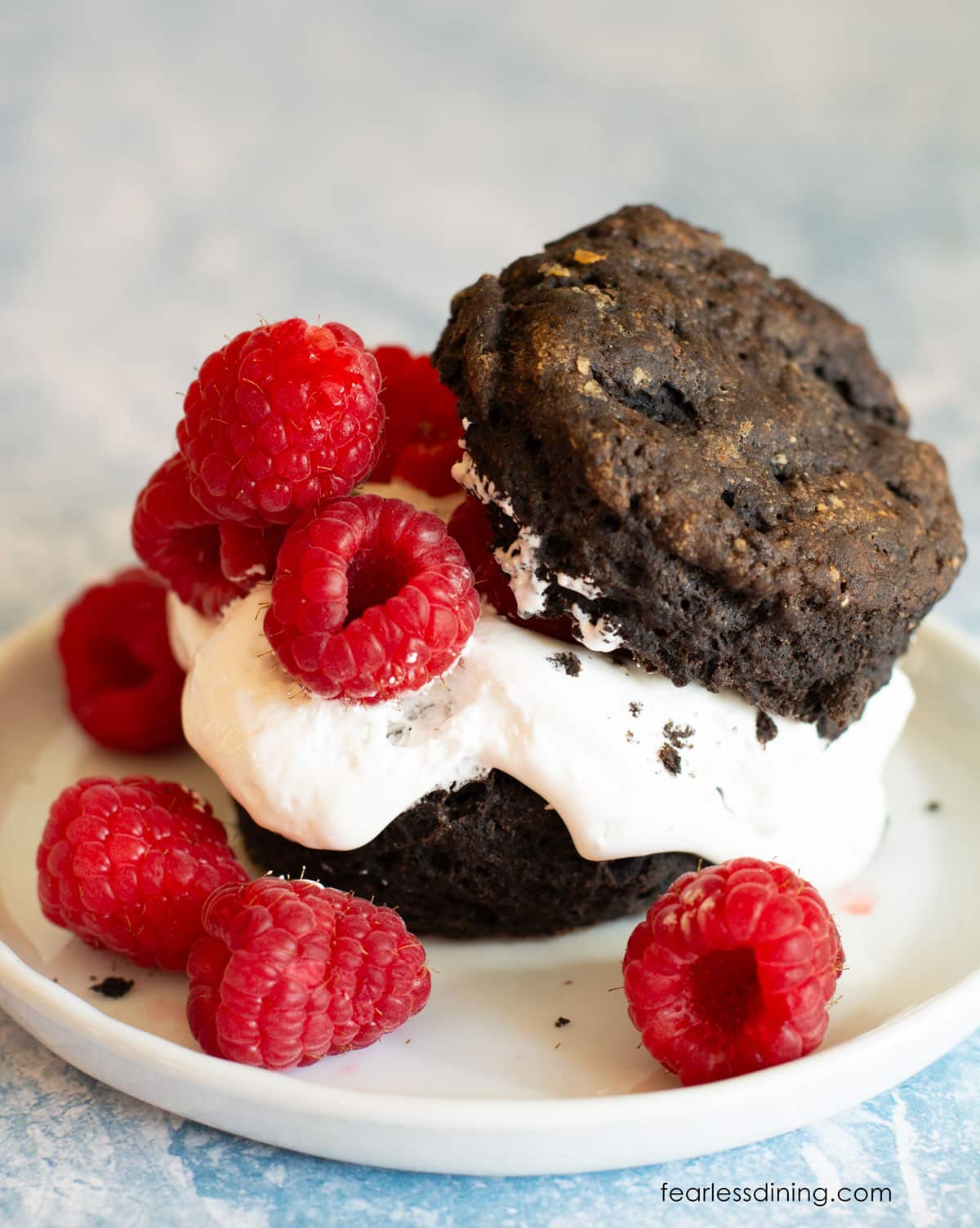 A chocolate biscuit with marshmallow fluff and fresh raspberries.