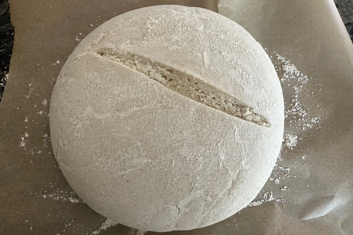 My bread dough with a single score line across the top. The dough is dusted in brown rice flour.