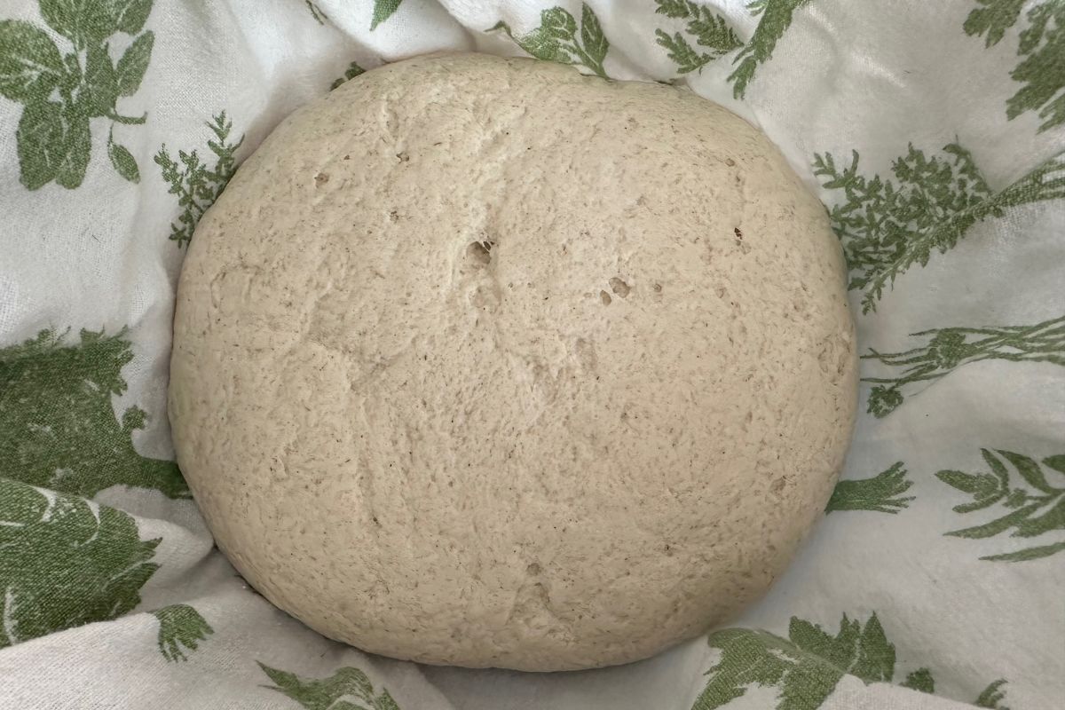 A sourdough dough ball in a towel lined basket.