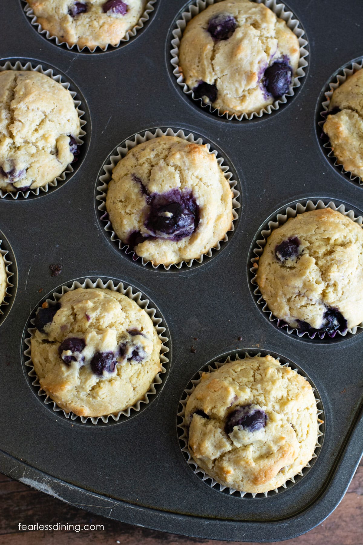 Baked sourdough discard blueberry muffins in a muffin tray.