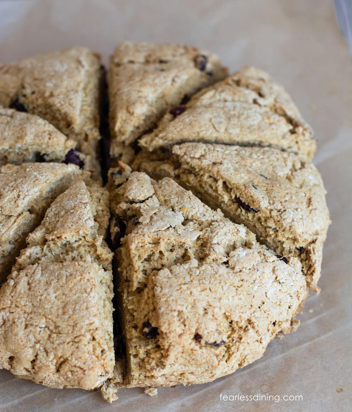 Baked gluten-free sourdough discard scones freshly baked out of the oven.