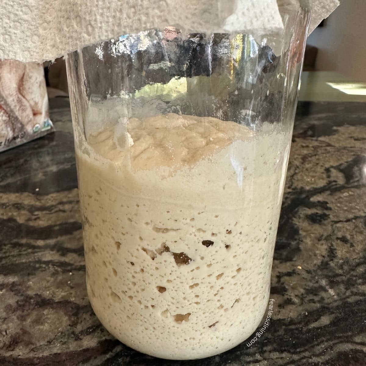 A closeup of my gluten-free sourdough starter in a mason jar.
