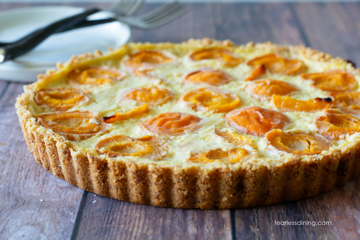 A baked gluten-free apricot tart on a picnic table.