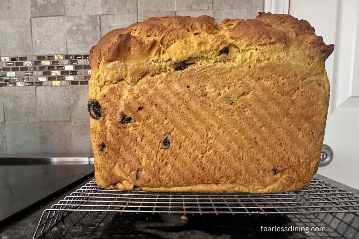 The gluten-free pumpkin yeasted bread after baking (without the cinnamon swirl).