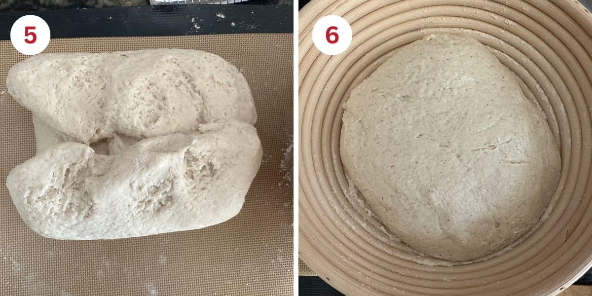 Photos showing forming the dough ball and putting it into the banneton to rise.